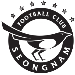 城南FC首发阵容