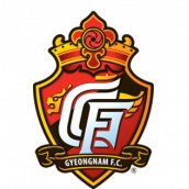 庆南FC首发阵容
